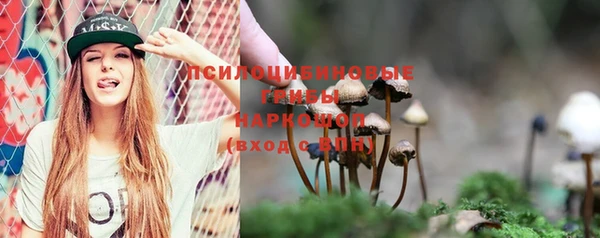винт Дмитров