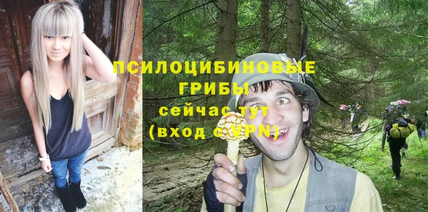 мяу мяу мука Елизово
