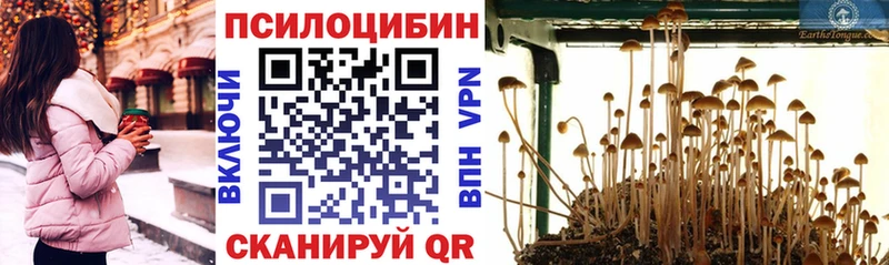 Псилоцибиновые грибы MAGIC MUSHROOMS  Купить где  Севск 
